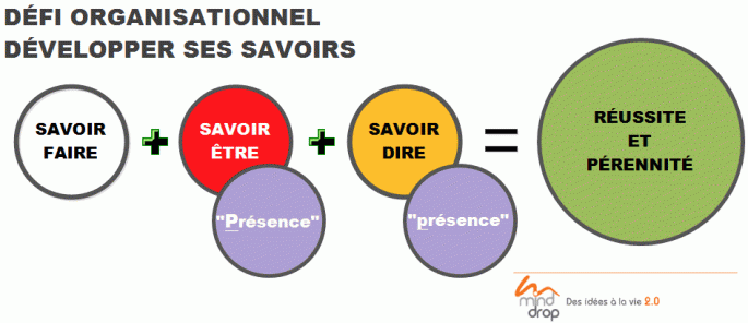 Savoir-être organisationnel - Mind Drop