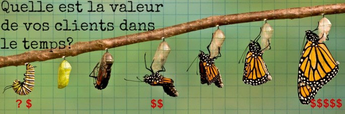 Valeur des clients dans le temps - CLV