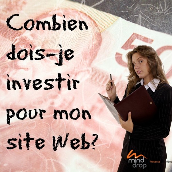 Investir-site-Web-Budget-Mind-Drop