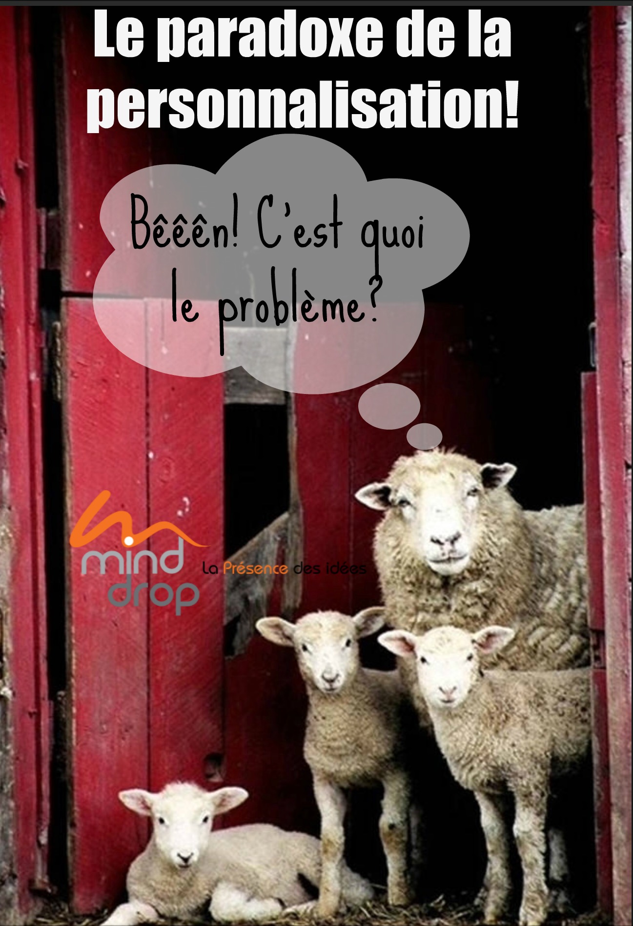 Paradoxe de la personnalisation - Big Data