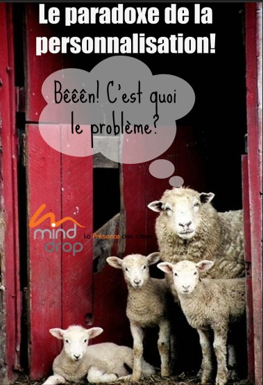paradoxe personnalisation - Big Data paradoxe personnalisation - Big Data