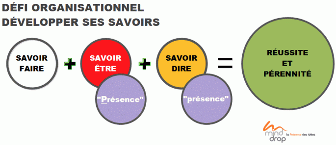 savoir-etre-organisationnel-minddrop