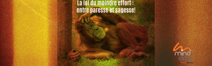 La loi du moindre effort