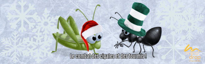 le combat des cigales et des fourmis!
